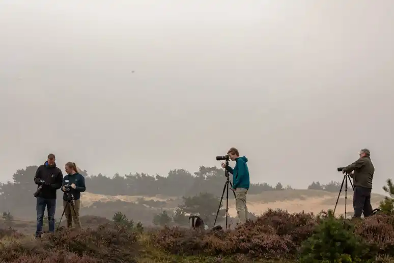 Nature Talks clients learning how to take photos during a landscape photography workshop.